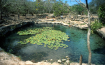Cenote in Dzibilchaltún