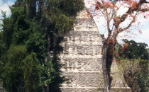 Tikal-Tempel-1