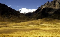 train ride Puno - Cusco