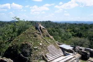 Blick Richtung Guatemala vom Tempel in Caracol