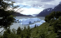 view towards the Grey Glacier