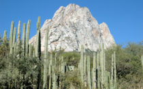 View of the Peña de Bernal, Mexico
