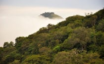 Nebelwald, © Mount Totumas, Panama