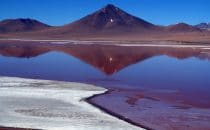 Laguna Colorada, Bolivien © Bertram Roth