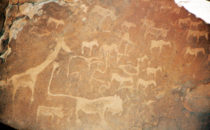 Petroglyphs, Twyfelfontein, Namibia
