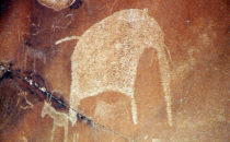 Petroglyphs, Twyfelfontein, Namibia