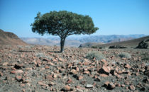 Namibia, Landschaft