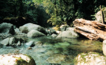 Zacate River in Pico Bonito National Park, Honduras