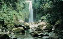 Zacate River in Pico Bonito National Park, Honduras