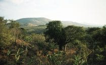 landscape in the Masaya National Park, Nicaragua