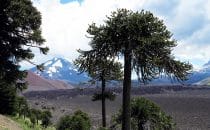 Vulkan Lonquimay, Chile, © Bertram Roth