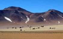 Dalíwüste, Bolivien © Bertram Roth