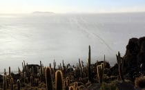 Isla Inkawasi im Salar de Uyuni, Bolivien