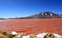 Laguna Colorada, Altiplano, Bolivien