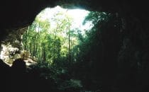 Rio Frio Cave, Belize
