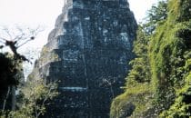 Rückseite von Tempel in Tikal, Guatemala