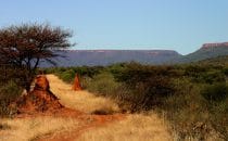 bush road near Wterberg, Namibia © Waterberg Wilderness