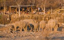Halali Camp, Etosha National Park, Namibia