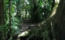 Tortuguero Nationalpark, gemeinfrei