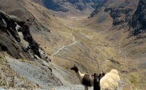Am Anfang des Chorotrails, Bolivien © Bertram Roth