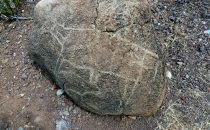 Petroglyphen im "Cañon la Trinidad", Baja California, Mexiko