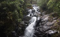 stream near Cerro Punta, Panama