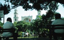 Zócalo and Cathedral, Mérida, Mexico