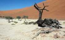 Sossusvlei - Deadvlei, Namibia