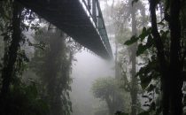 Monteverde Hängebrücke
