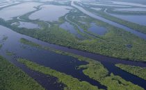 Anavilhanas archipelago on the Rio Negro near Manaus, Brazil