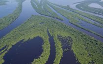 Anavilhanas archipelago on the Rio Negro near Manaus, Brazil