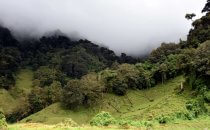 Sendero los Quetzales, Provinz Chiriquí, Panama