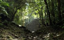 Path to the Plaza of Yaxchilán in Chiapas, Mexico