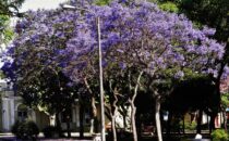 Plaza Hargain, Fray Bentos, Uruguay