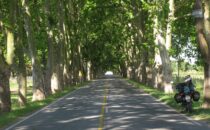 Ruta 21 bei Carmelo, Uruguay